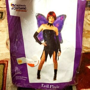 EVIL PIXIE COSTUME CALIFORNIA COSTUMES SMALL